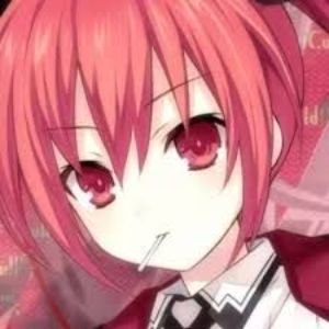 MoKo311
