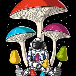 psYnautik