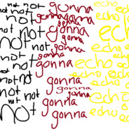 not gonna echo