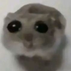 Oskar356789