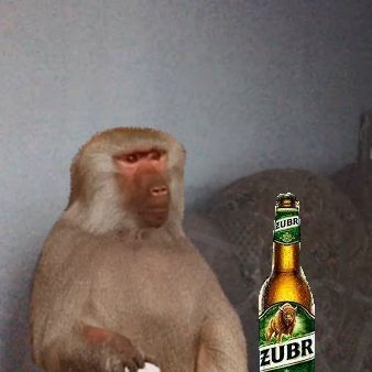 MhN_