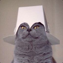 crimzan-