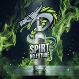 Spirt No Future
