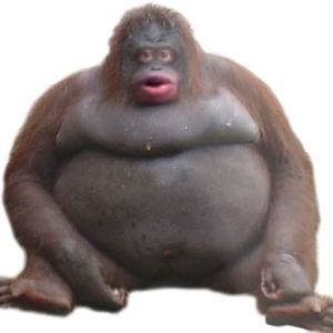Chemelak