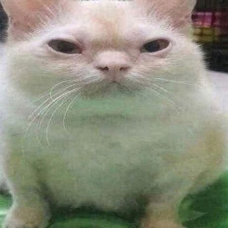 GPOW