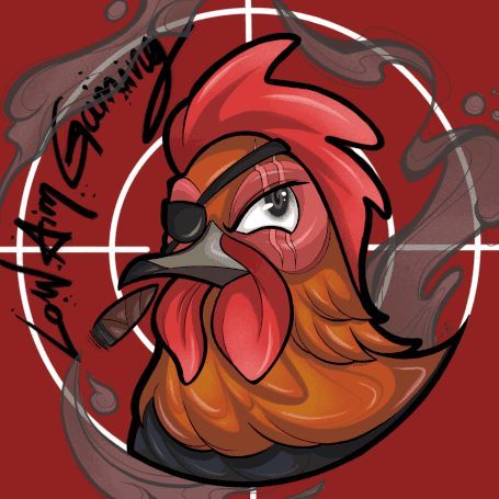 Low Aim Gaming