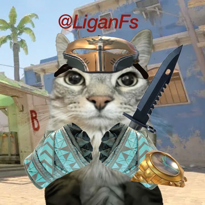 LiganFs