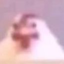 1to