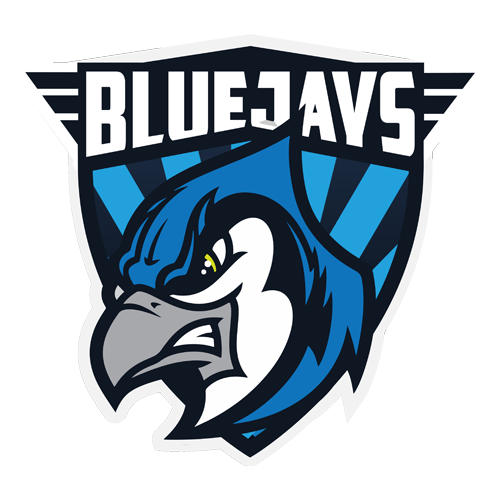 BLUEJAYS DACH
