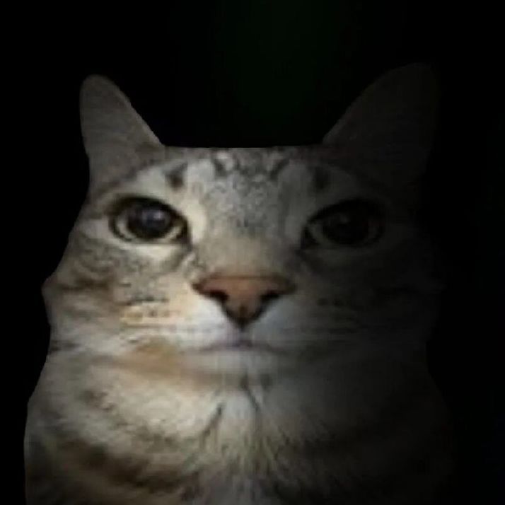 ov3rr-