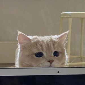 SAM_41