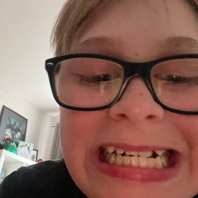 Prins_korven