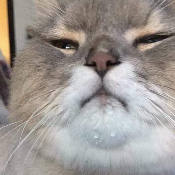 MrWillbl