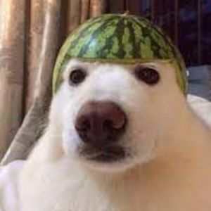 _Prince54