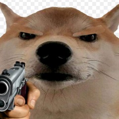 ShibaPeek