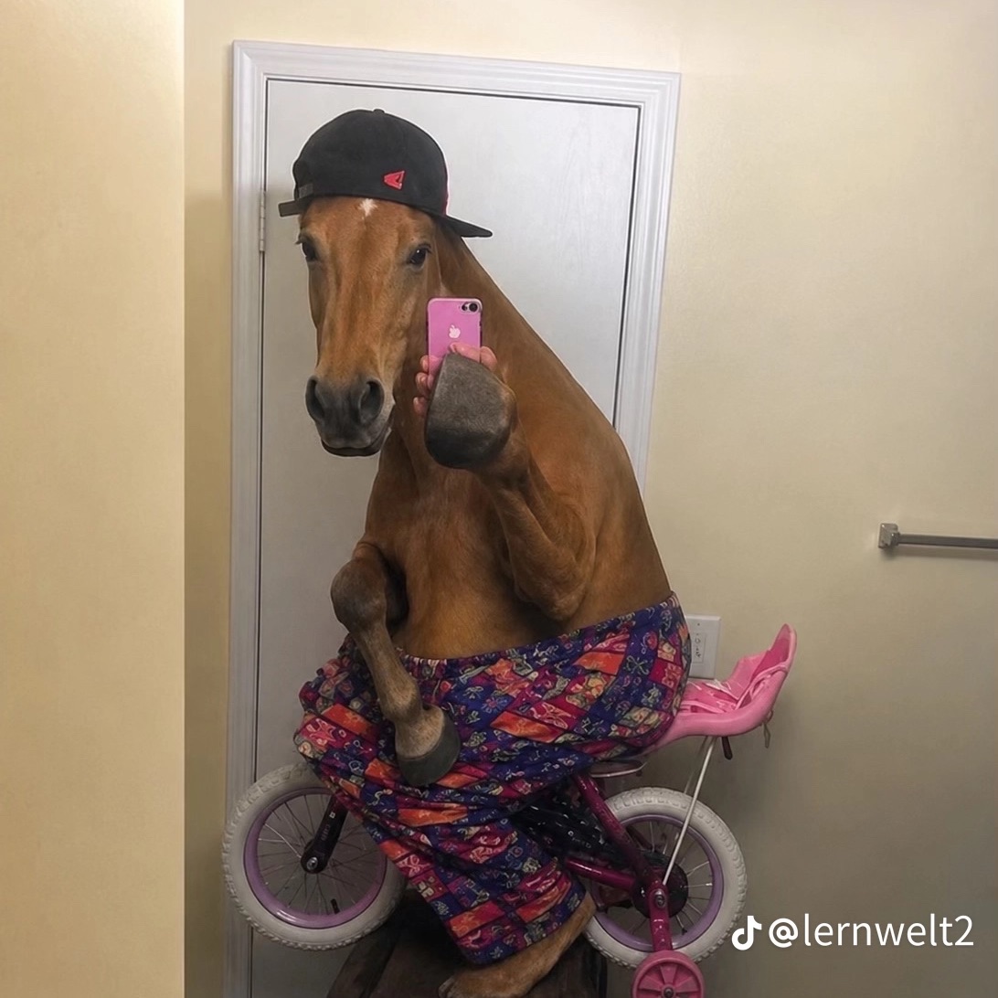 Into The Horse