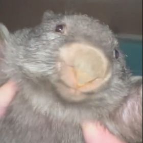 BamBamYa