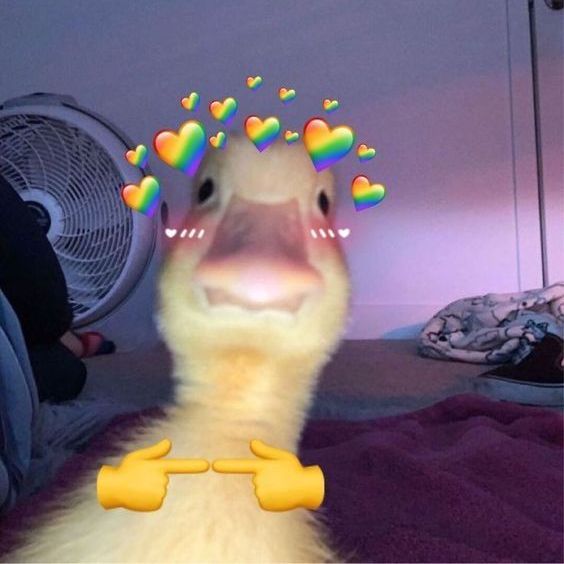MlNlKlL