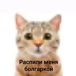 Danchik_07