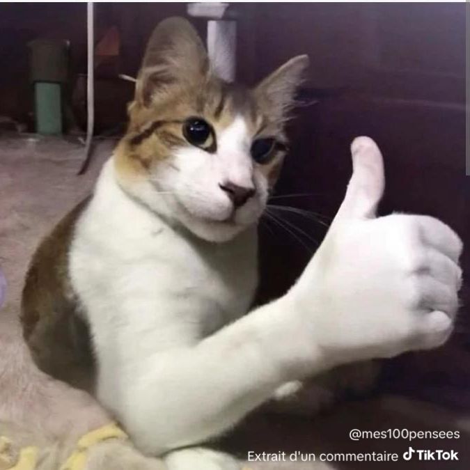 -Xsss-