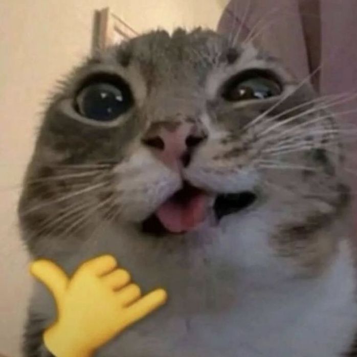 sinsjohnny67
