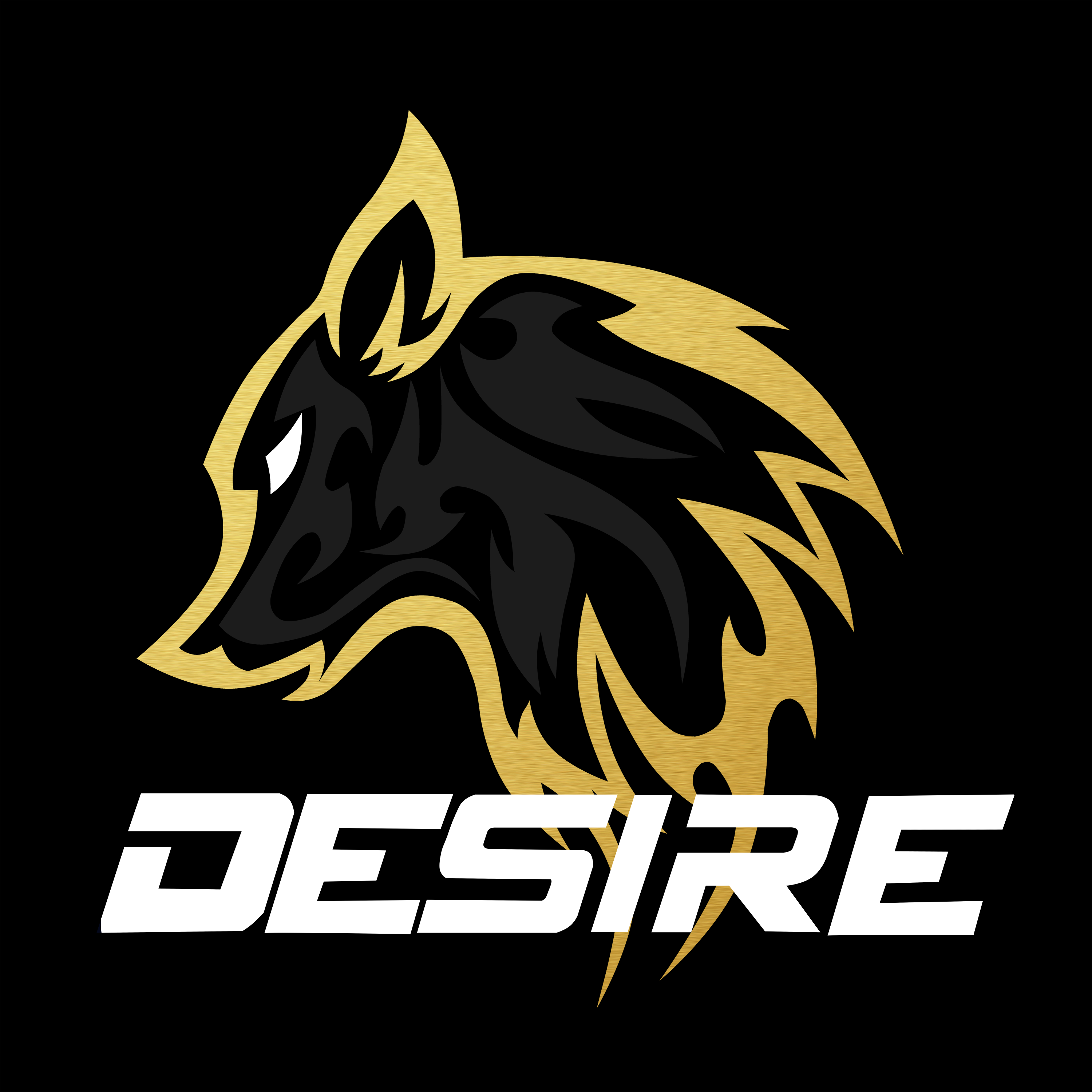 desiRe_Gaming