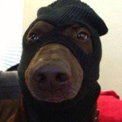 jorker