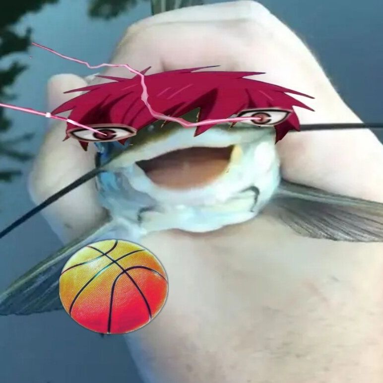 bagyx