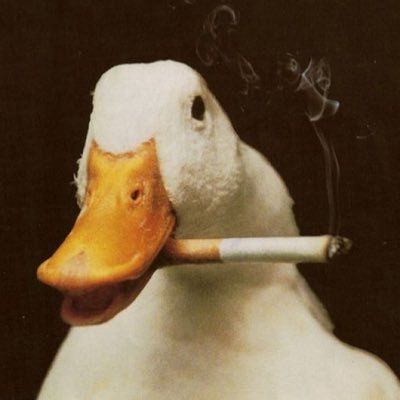 DuckDownie