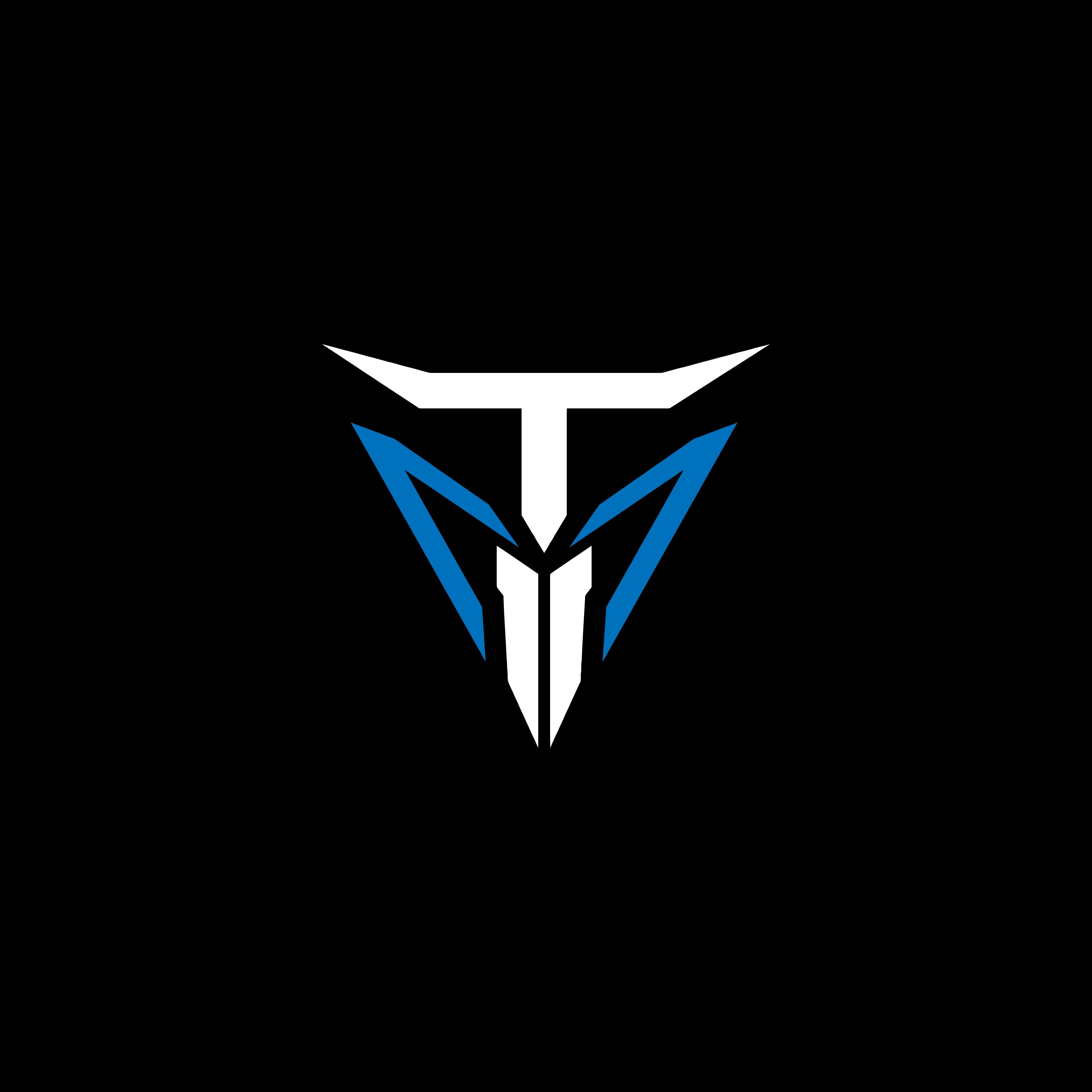 TEAM INTEMPORAL