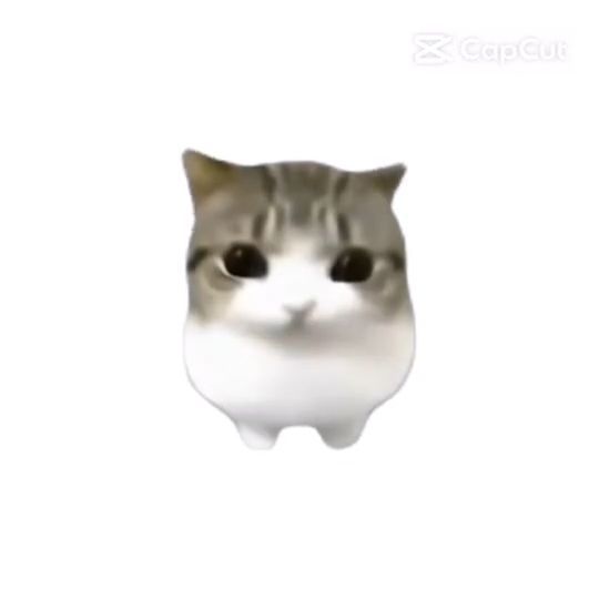 fwafdafawefa
