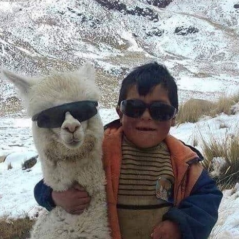 Skibidiii