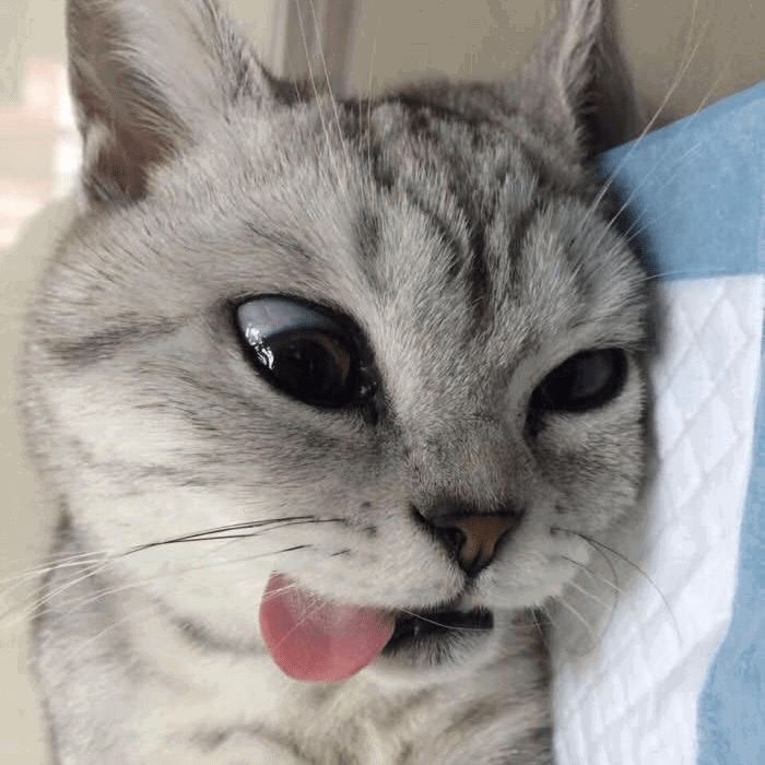4epepawka-