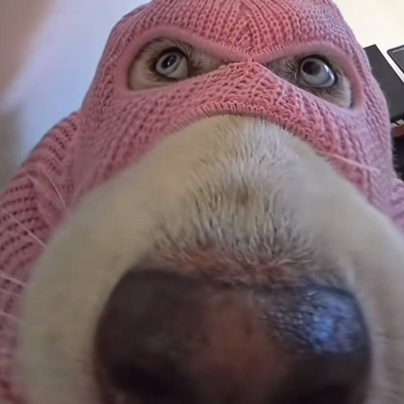 Sstawr