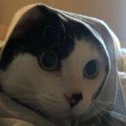 clean_peek