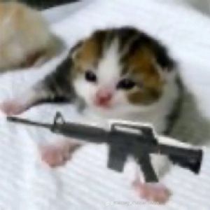 PippySippy