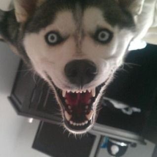 slpyhlw
