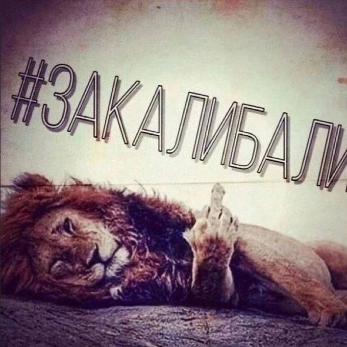 ataman48