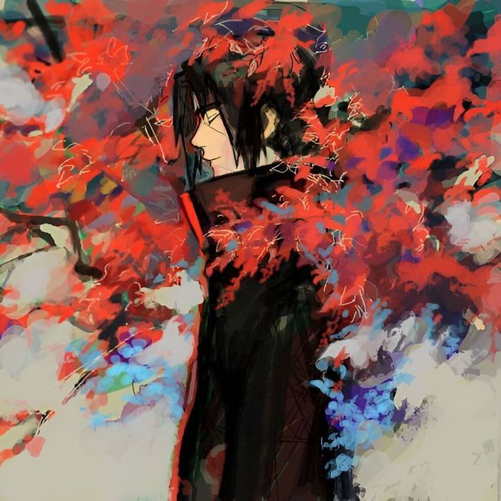 shadowq-