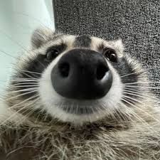 Fl0wzzzz
