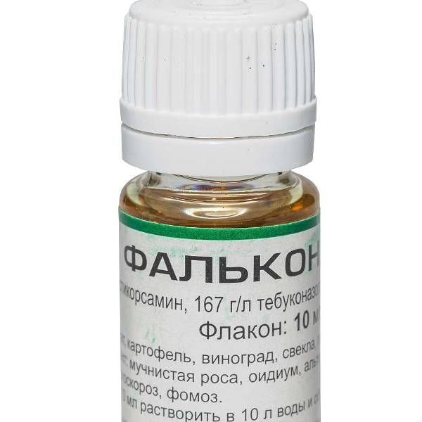 Flakonchik Team