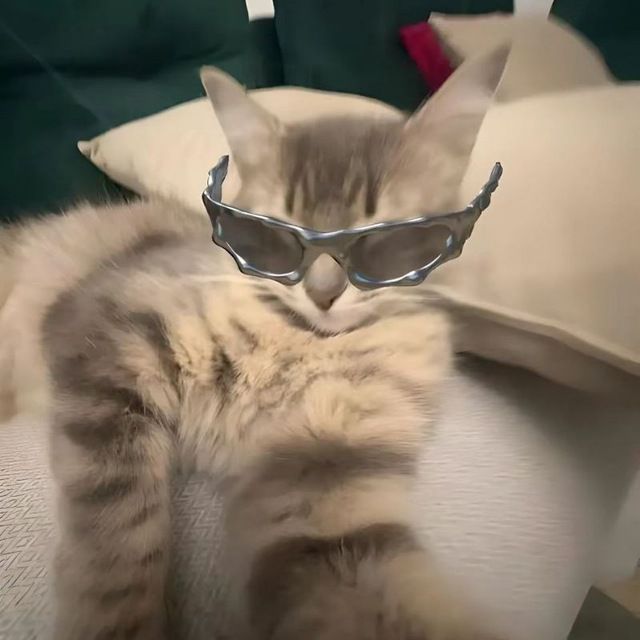 hxrdxr