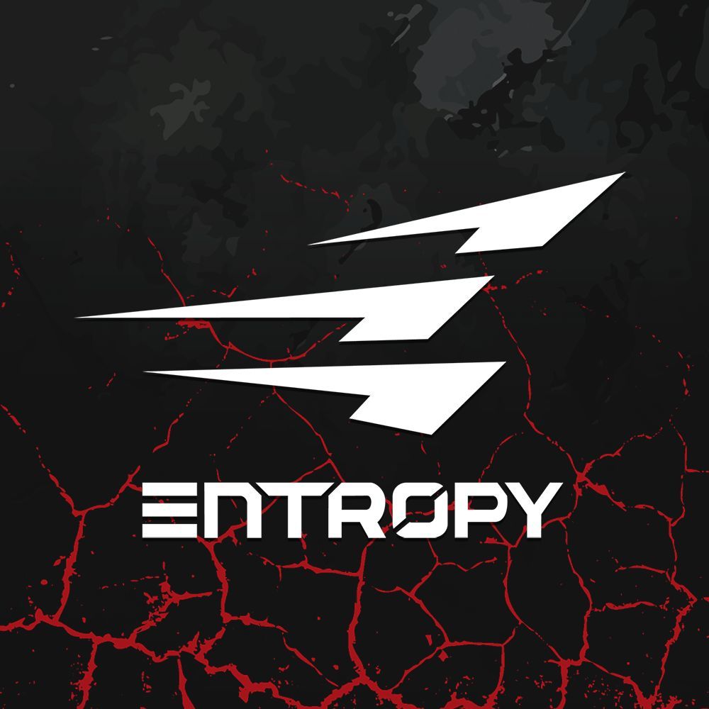 Entropy Future