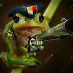 OXFROG