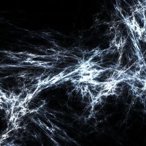 PetriFiX