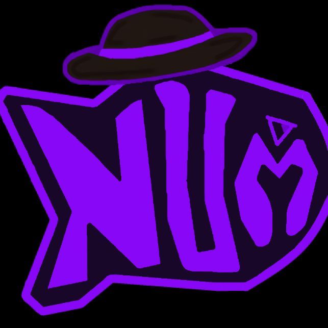 NUM Team