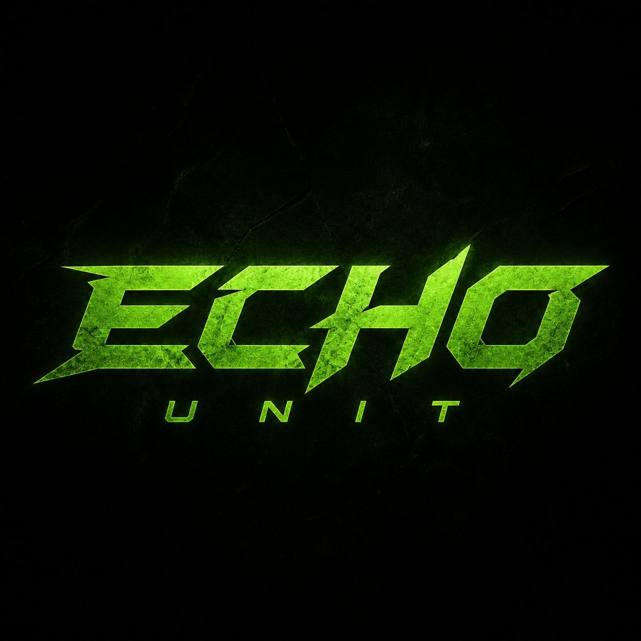 Echo Unit