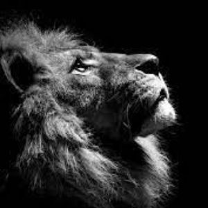 Aslan40