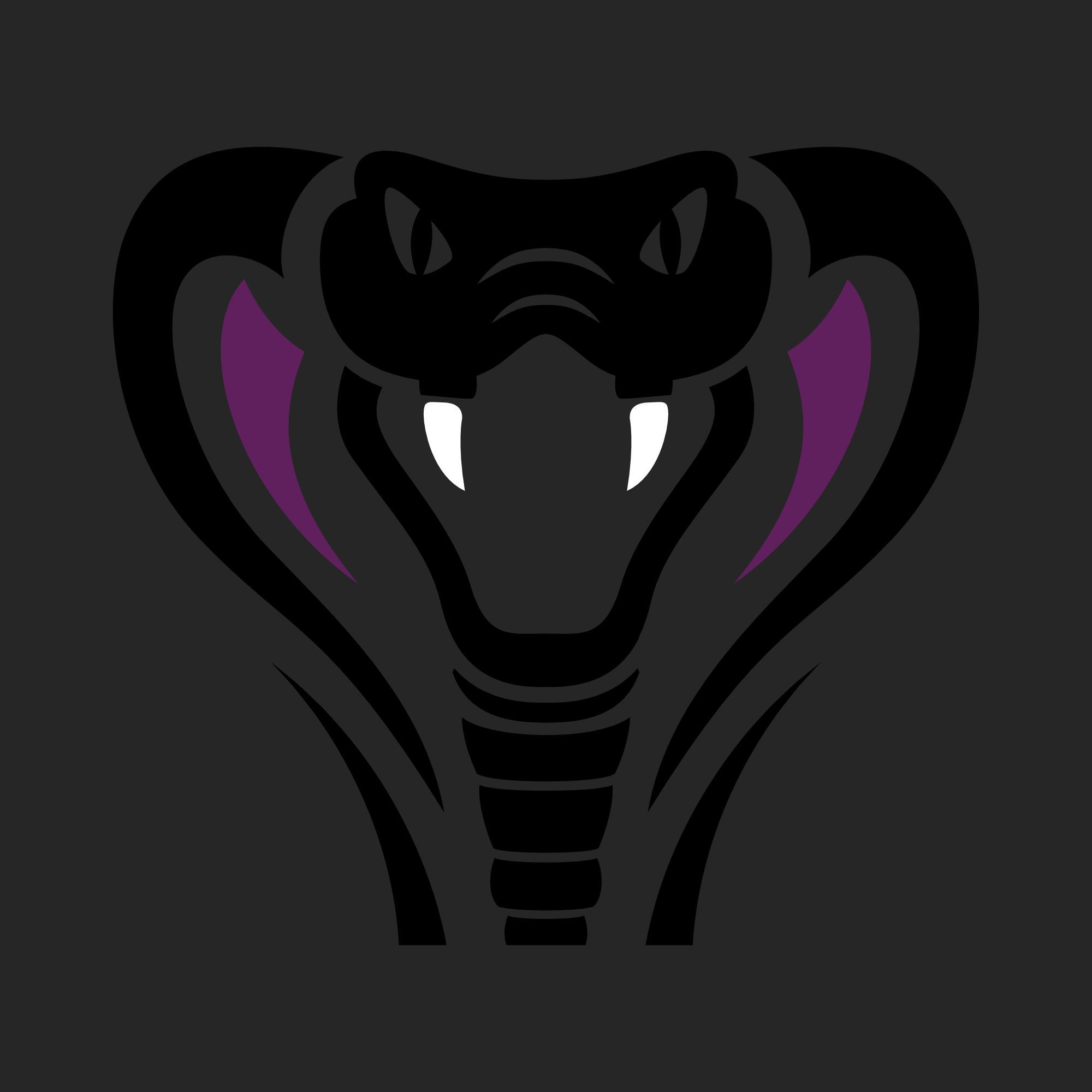 AJM_CS