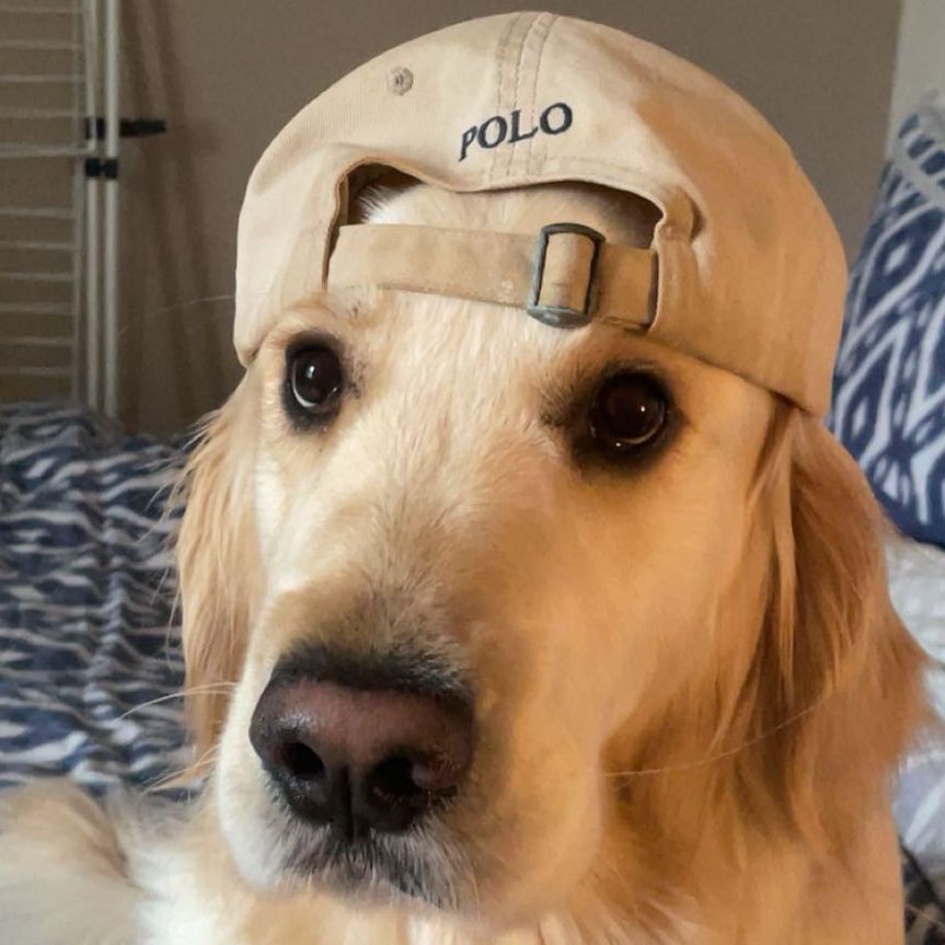 poIo